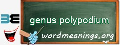 WordMeaning blackboard for genus polypodium